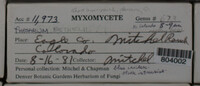 Image Associated With the Occurence